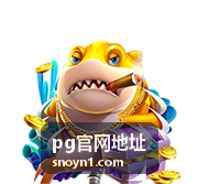 pg官网地址 账号登录入口示意