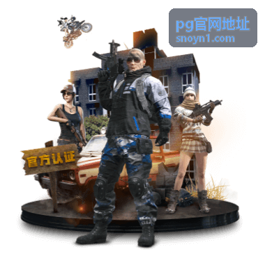pg官网地址 访问异常排查入口示意