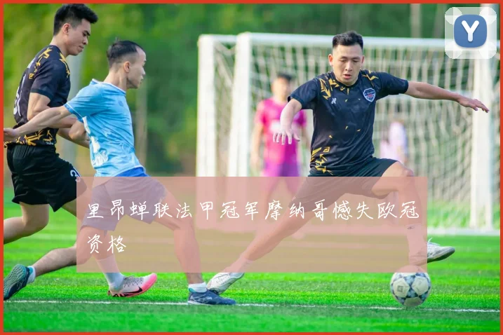 里昂蝉联法甲冠军摩纳哥憾失欧冠资格