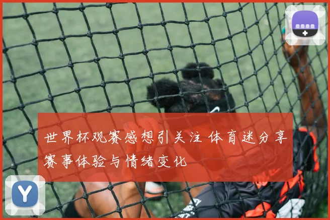 世界杯观赛感想引关注 体育迷分享赛事体验与情绪变化