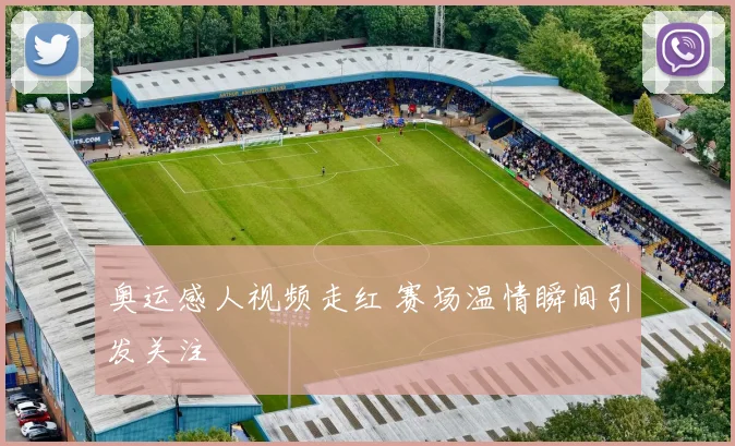 奥运感人视频走红 赛场温情瞬间引发关注