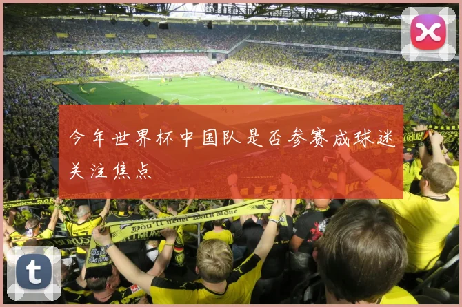 今年世界杯中国队是否参赛成球迷关注焦点