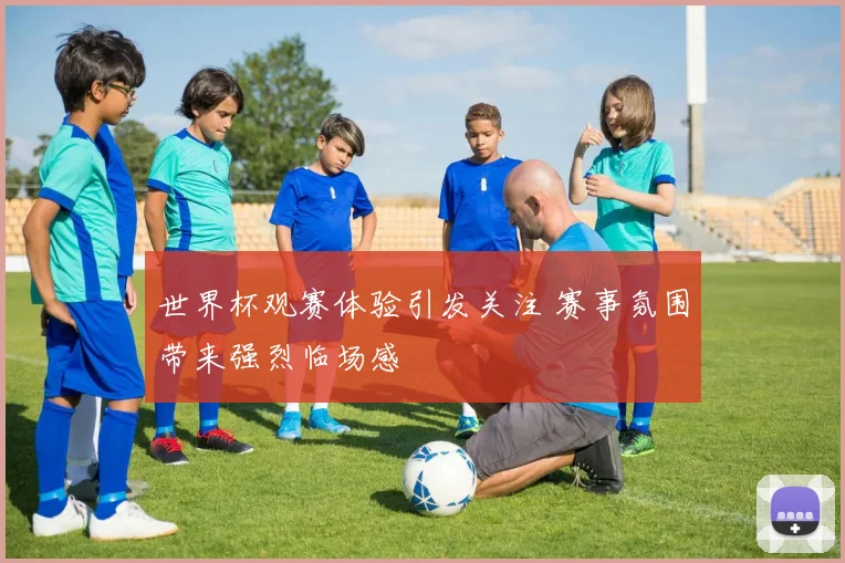 世界杯观赛体验引发关注 赛事氛围带来强烈临场感