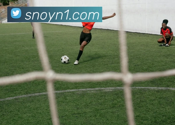 人人体育官网直播APP 封面图